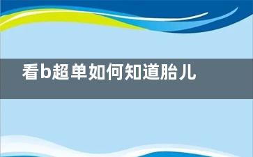 看b超单如何知道胎儿性别 b超单看胎儿性别